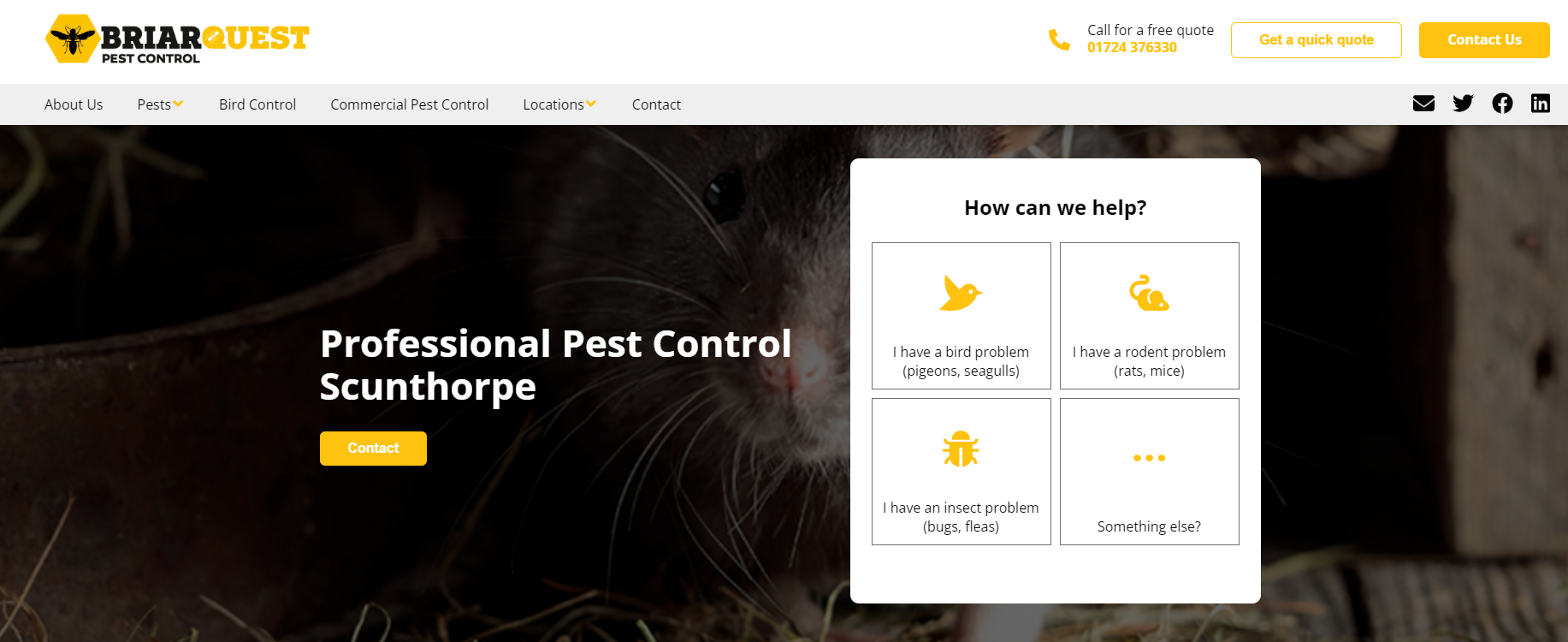 Briarquest Pest Control Website