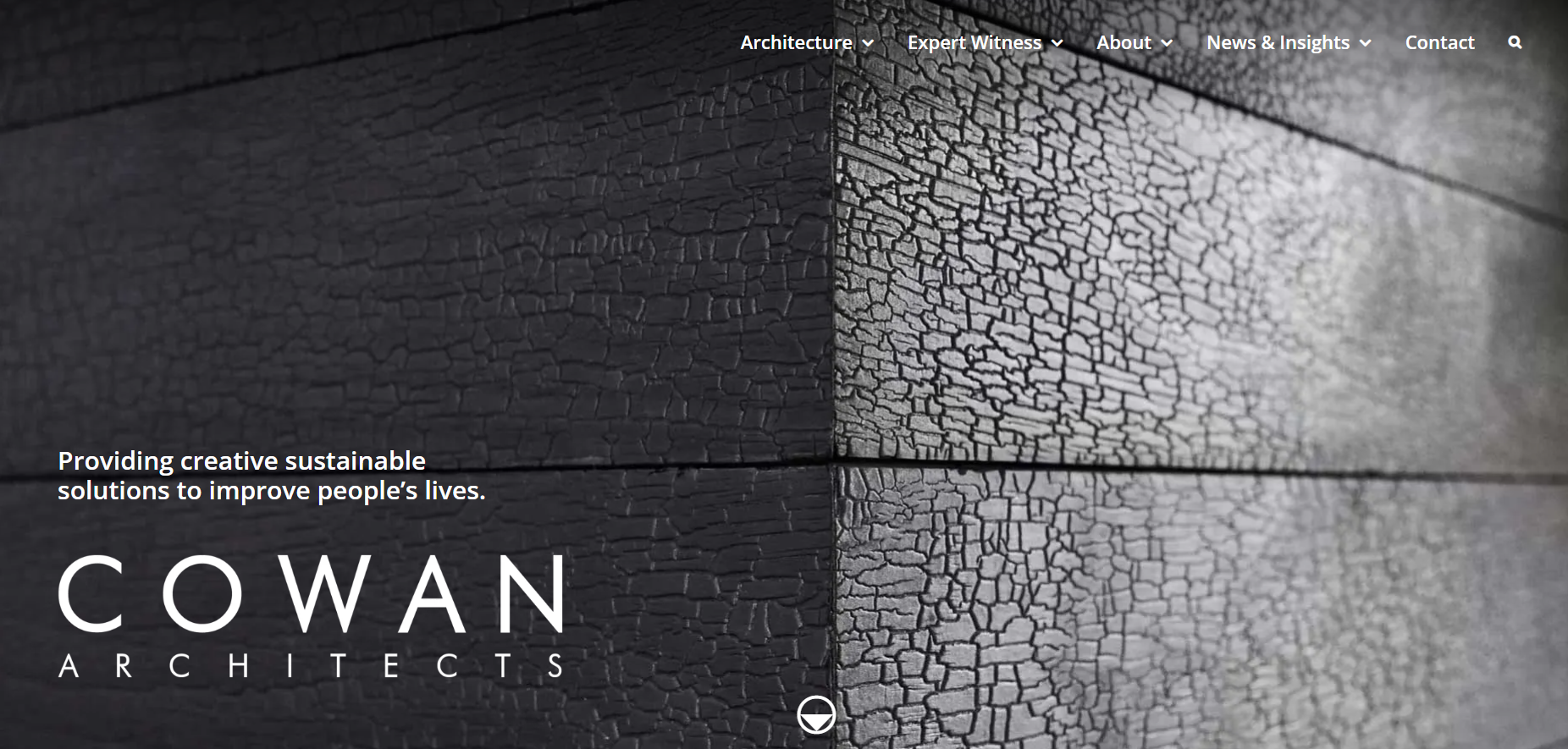 Cowan Architects Ltd Website