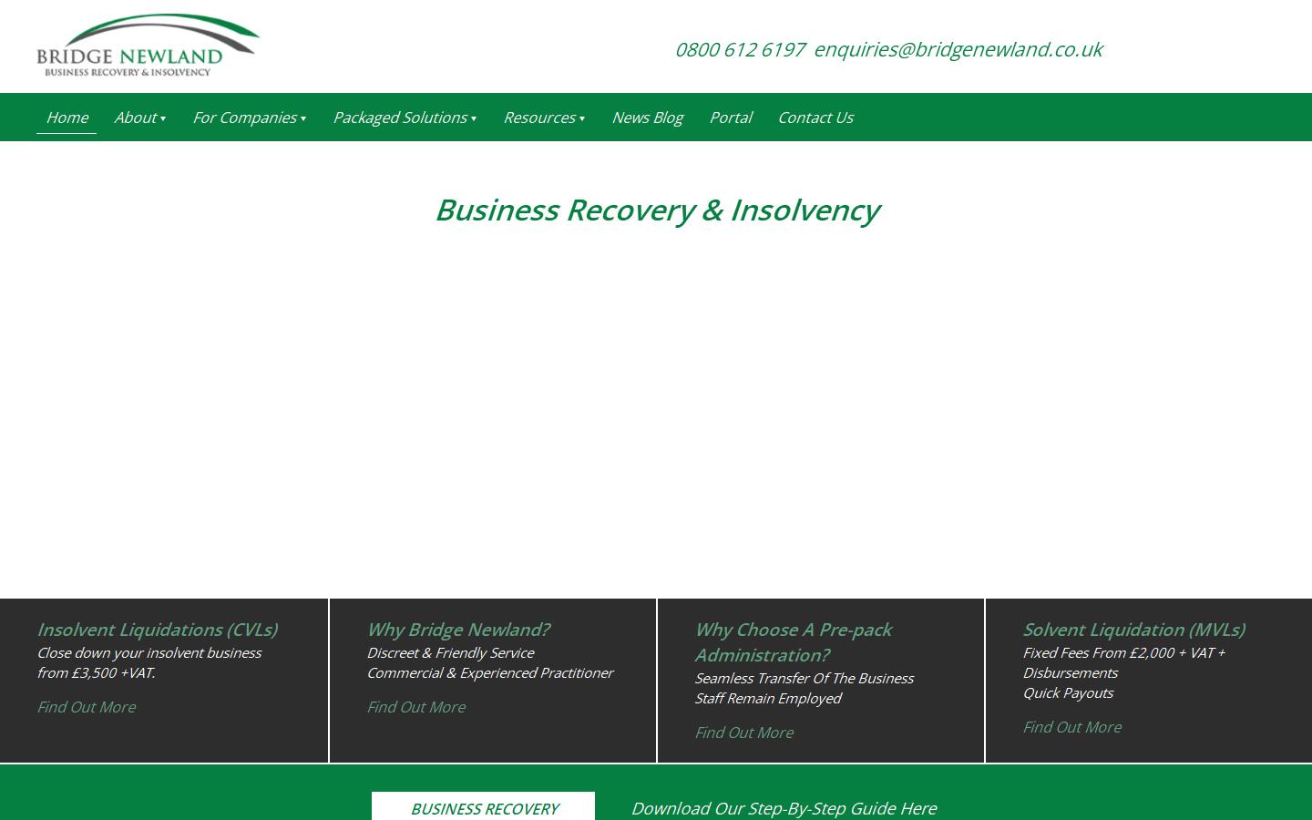 Bridge Newland Ltd Website