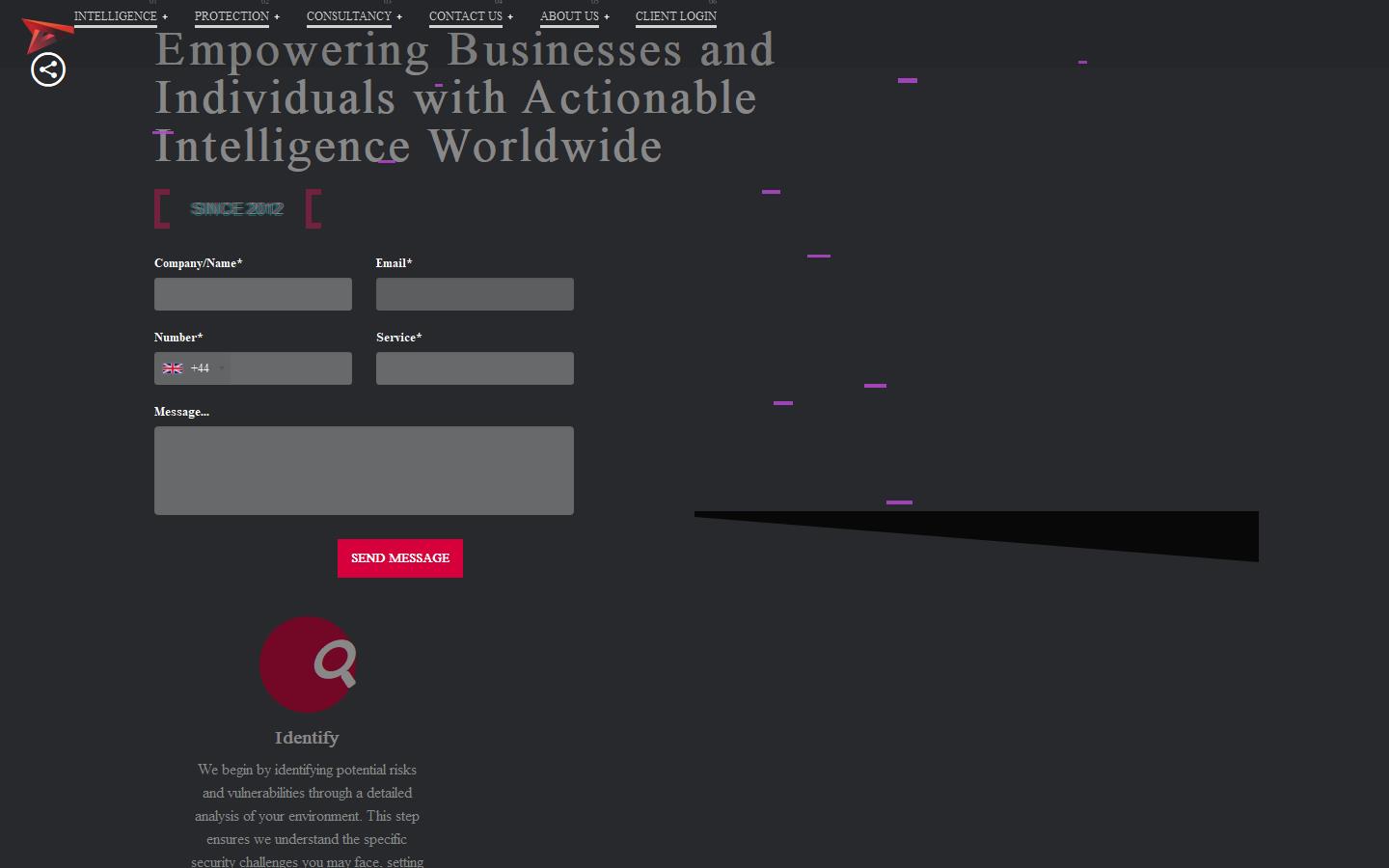 Dion International Ltd Website