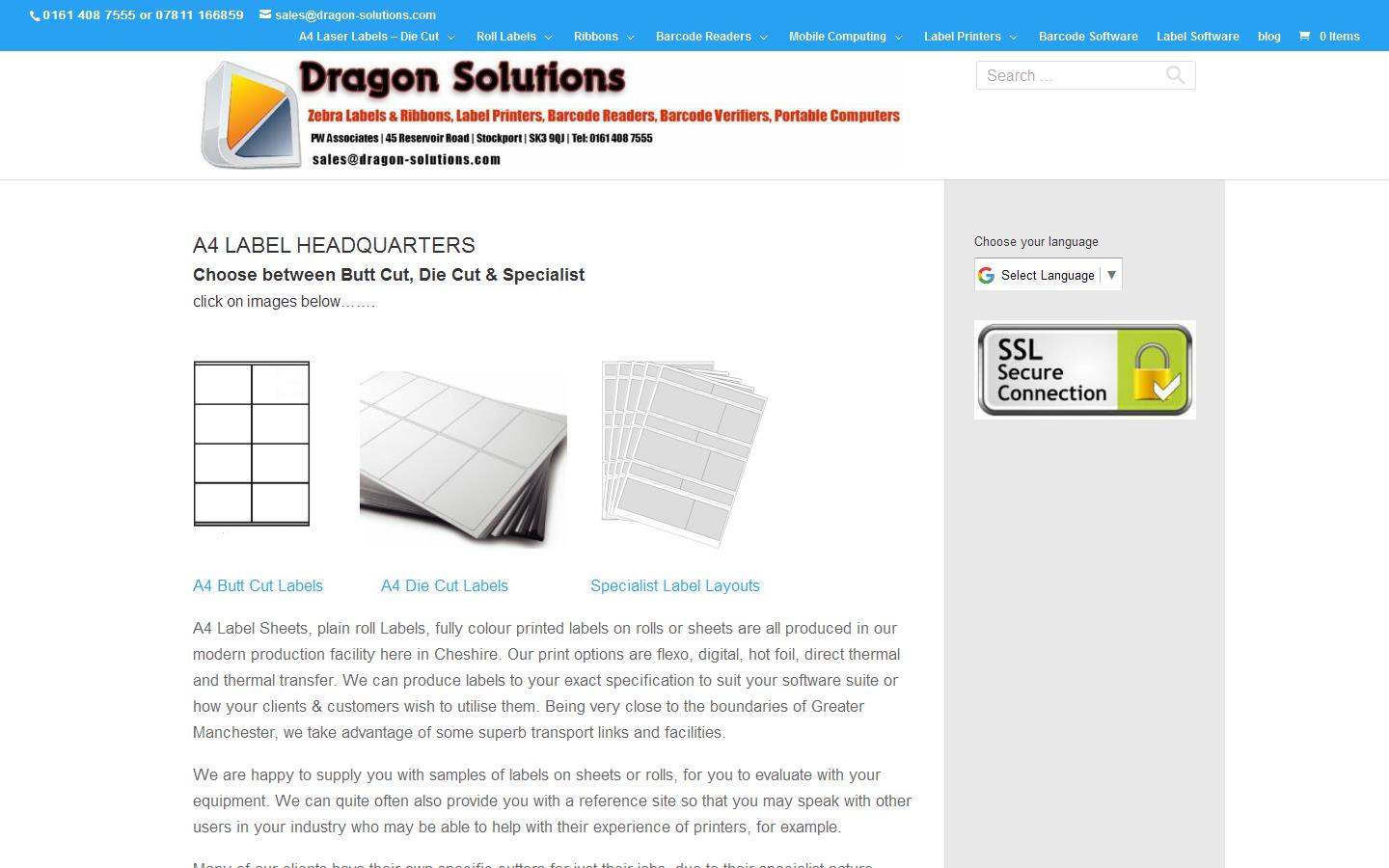 Dragon Solutions Website