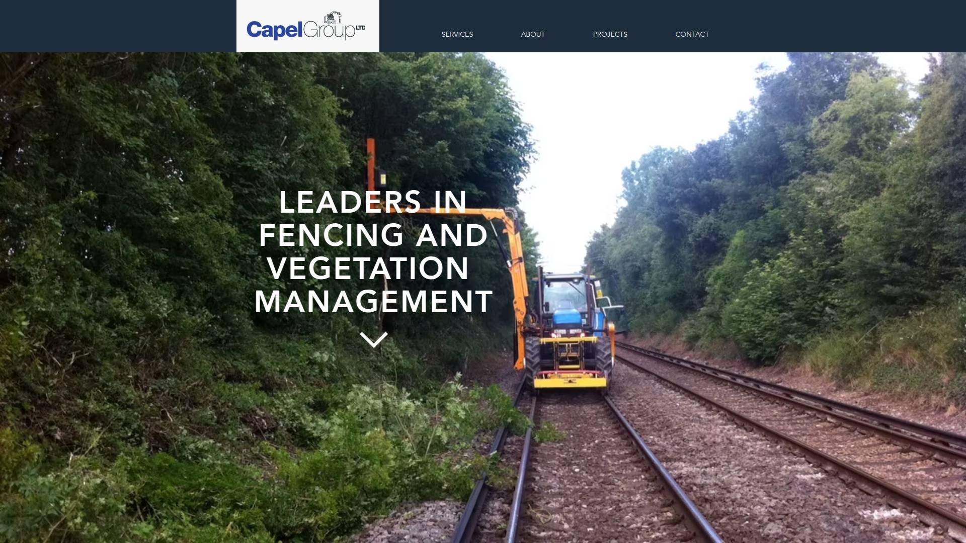 Capel Group Ltd Website