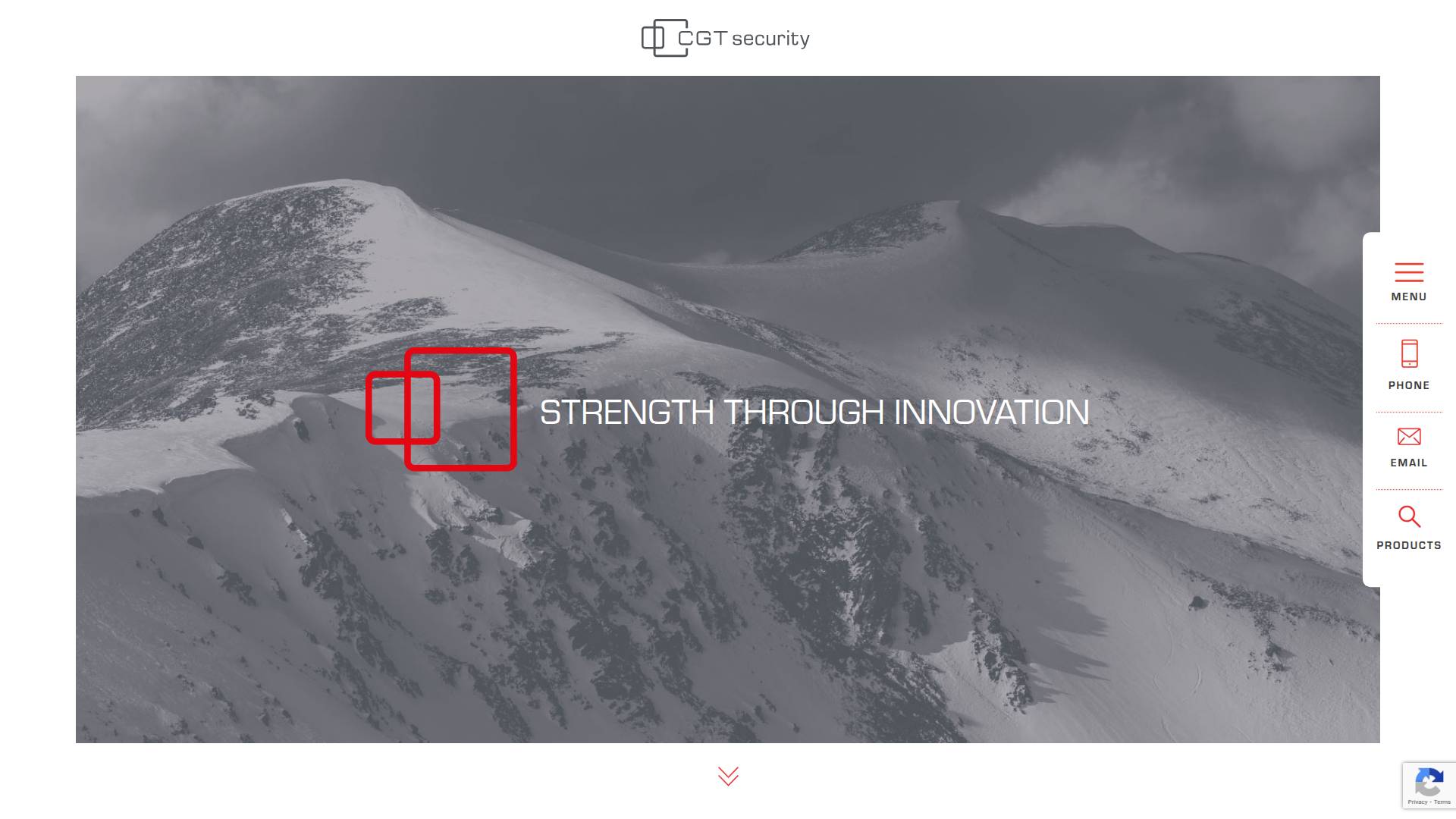 C G T Security Ltd Website