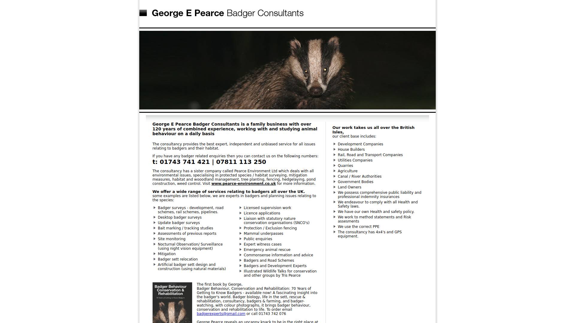 Badger Consultant Website