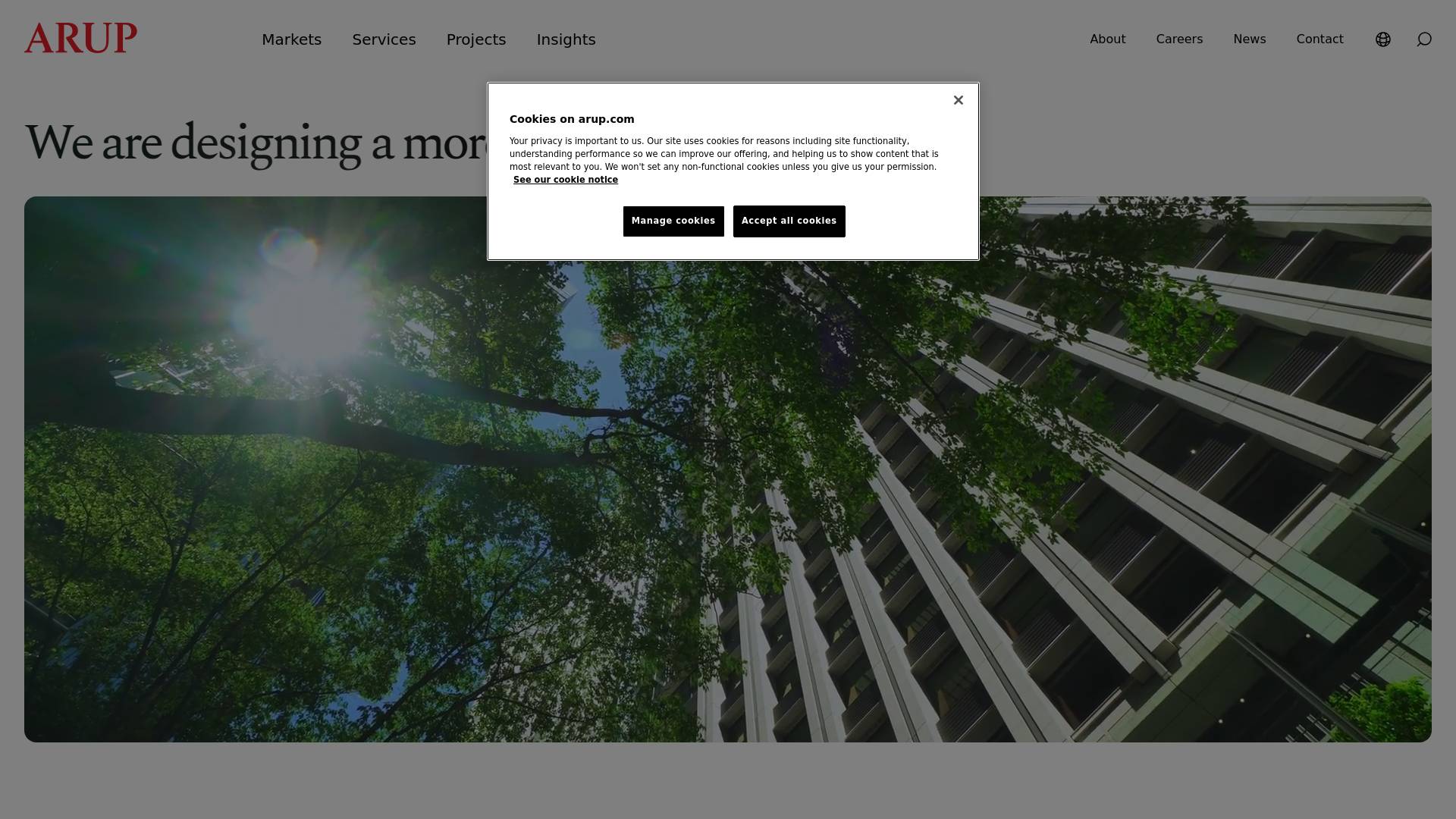 Arup Website