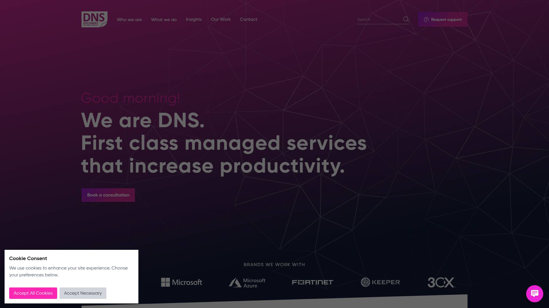 Document Network Services Website