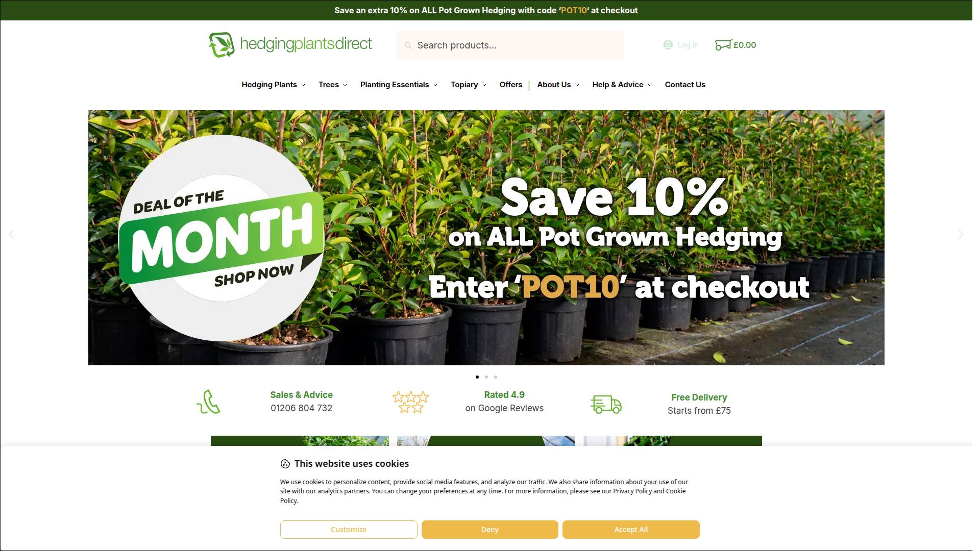 Hedging Plants Direct Website Screenshot 001