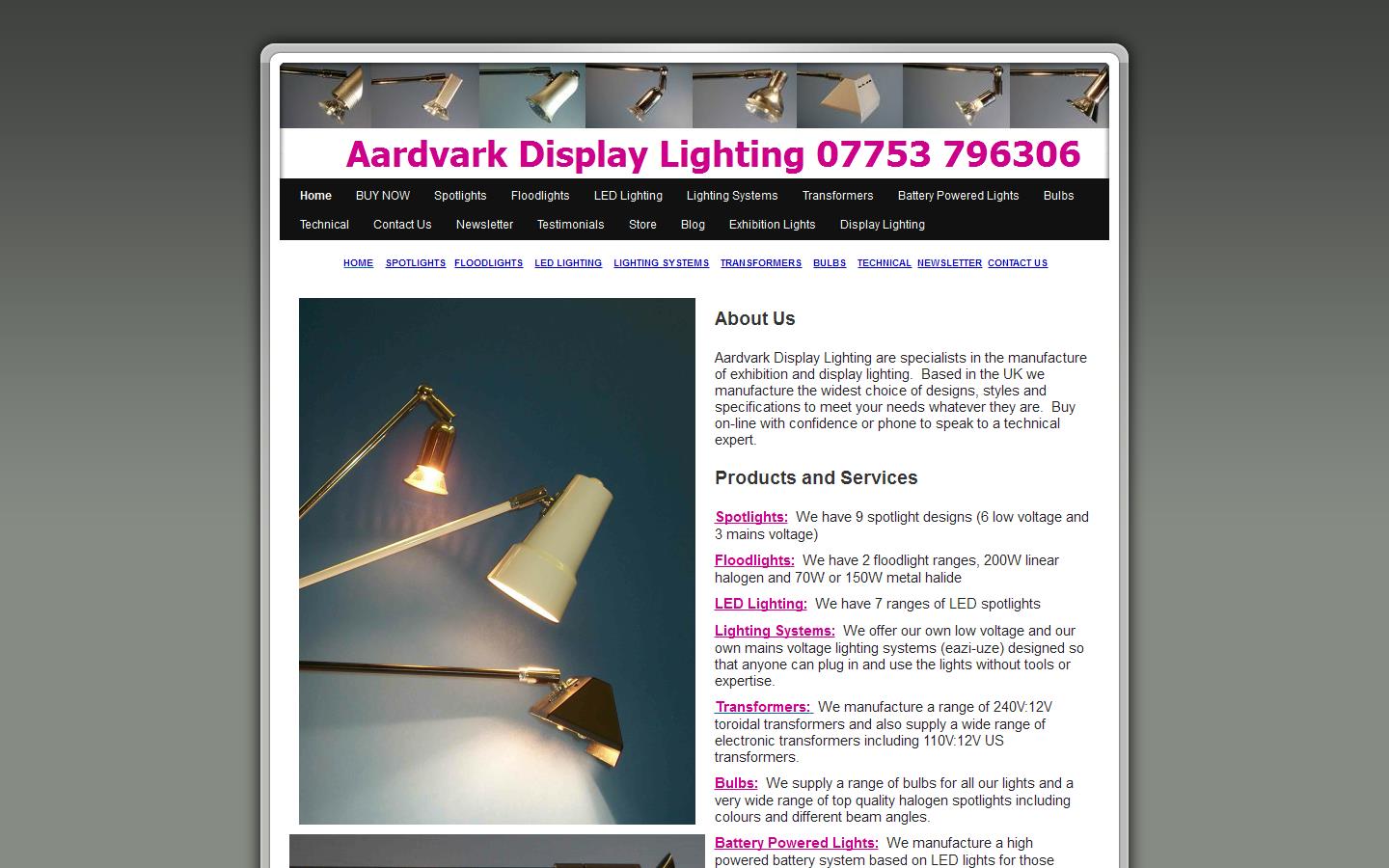 Aardvark Display Lighting Website