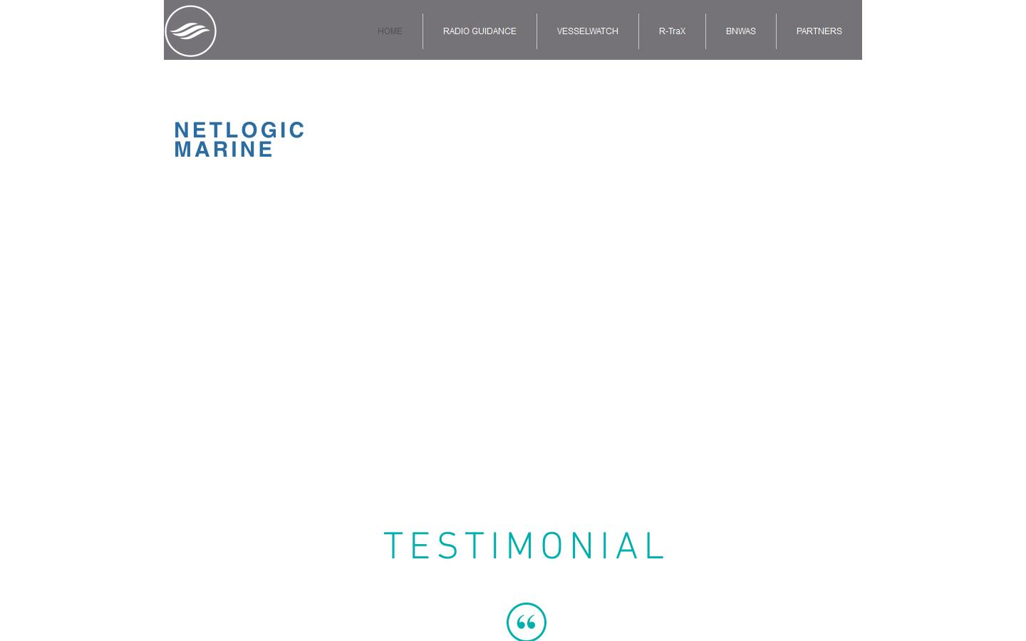 Net-Logics Ltd Website