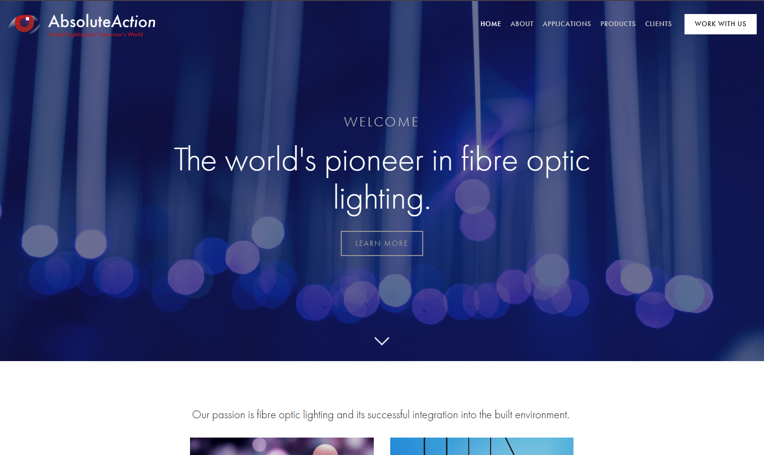 Absolute Action Website