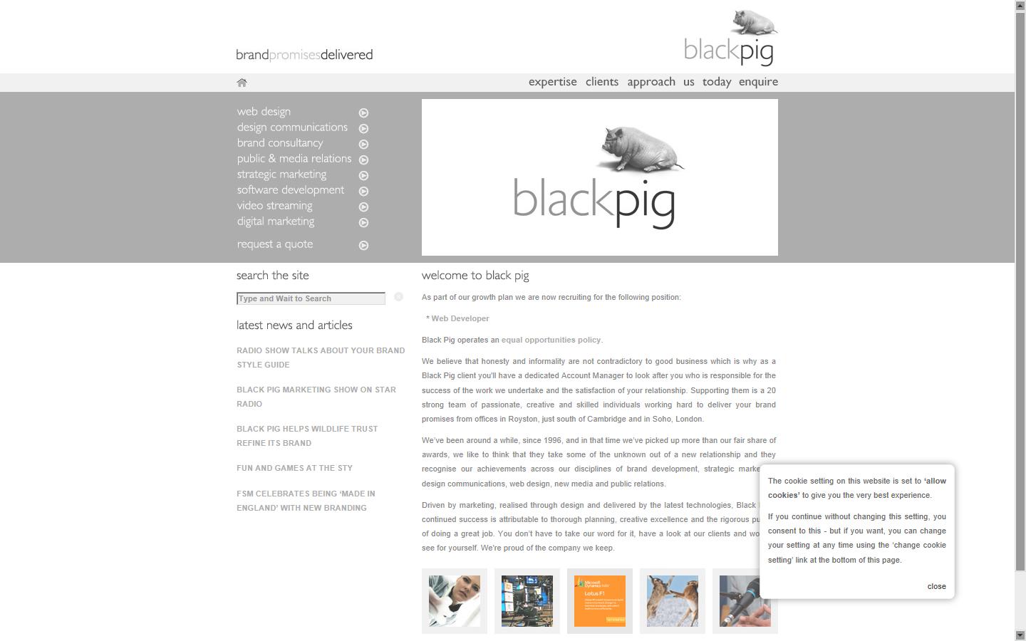 Black Pig Website
