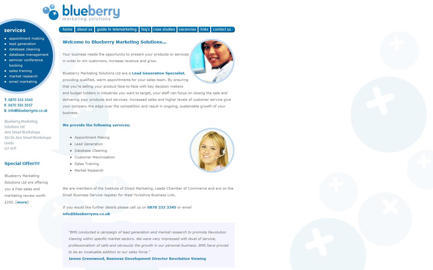 Blueberry Marketing Solutions Ltd Website