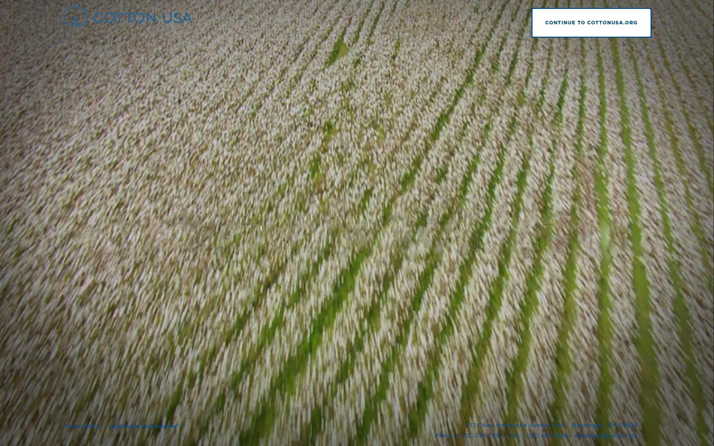 Cotton Council International  Website