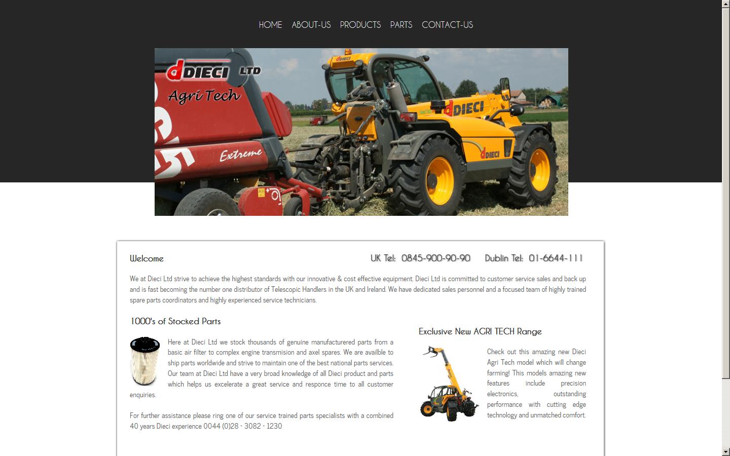 Dieci ltd Website