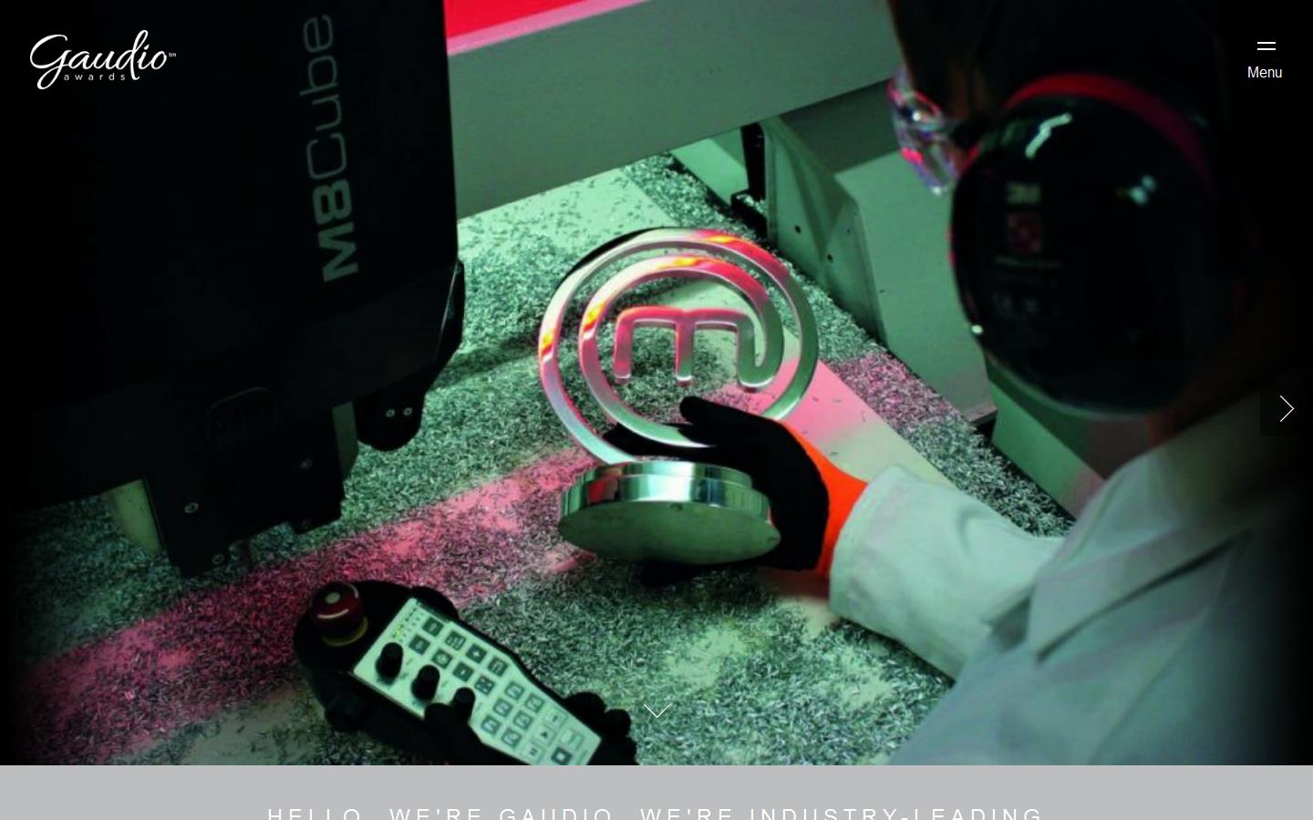 Gaudio Awards Ltd Website