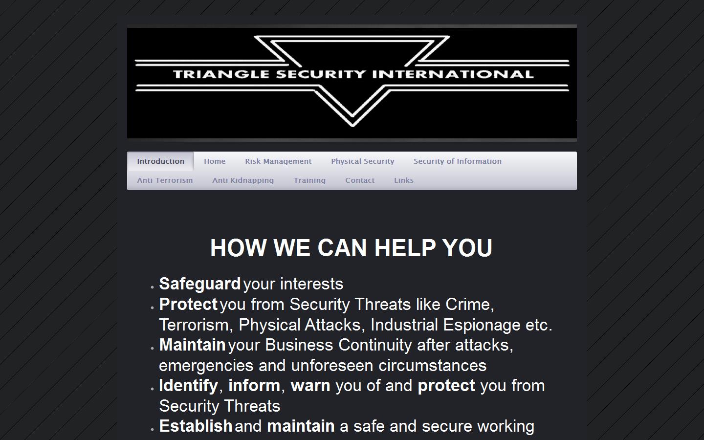 Triangle Security Website