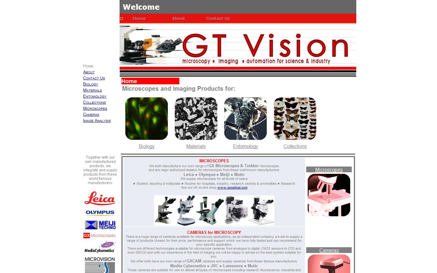 GT Vision Ltd Website