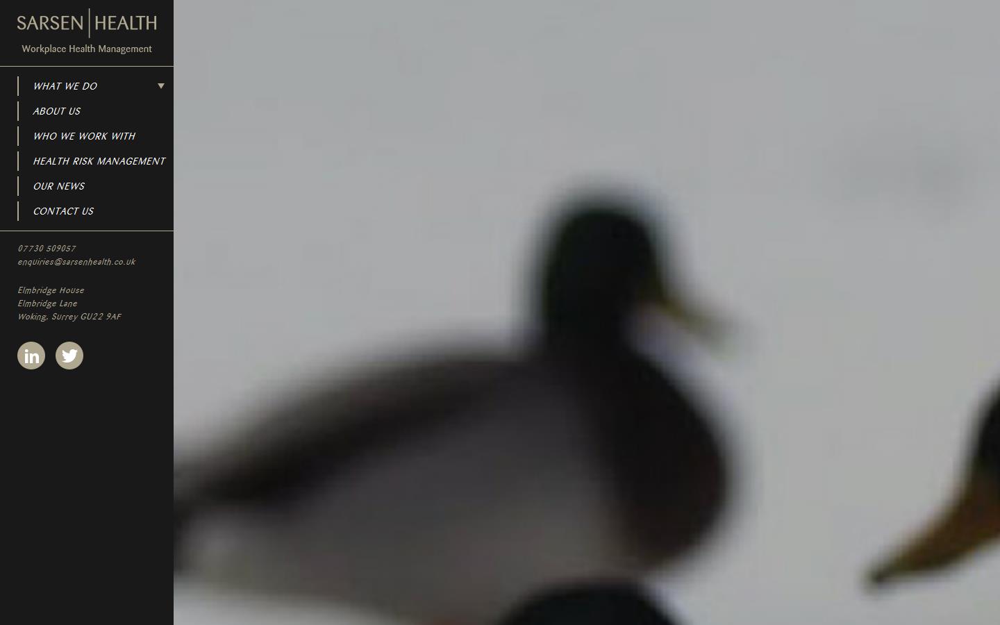 Sarsen Health Website