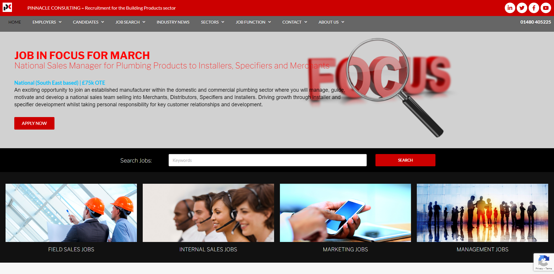 Pinnacle Consulting UK Ltd  Website