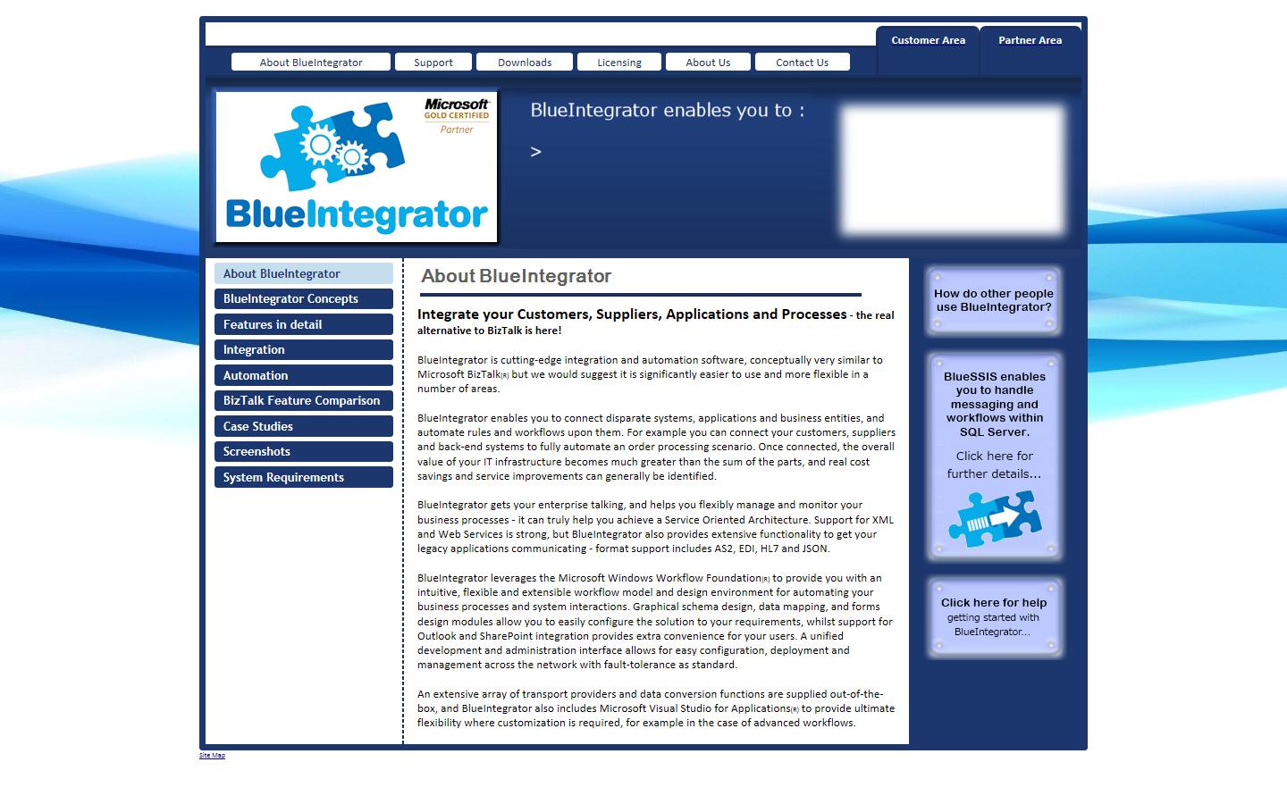 BlueHub Solutions Website