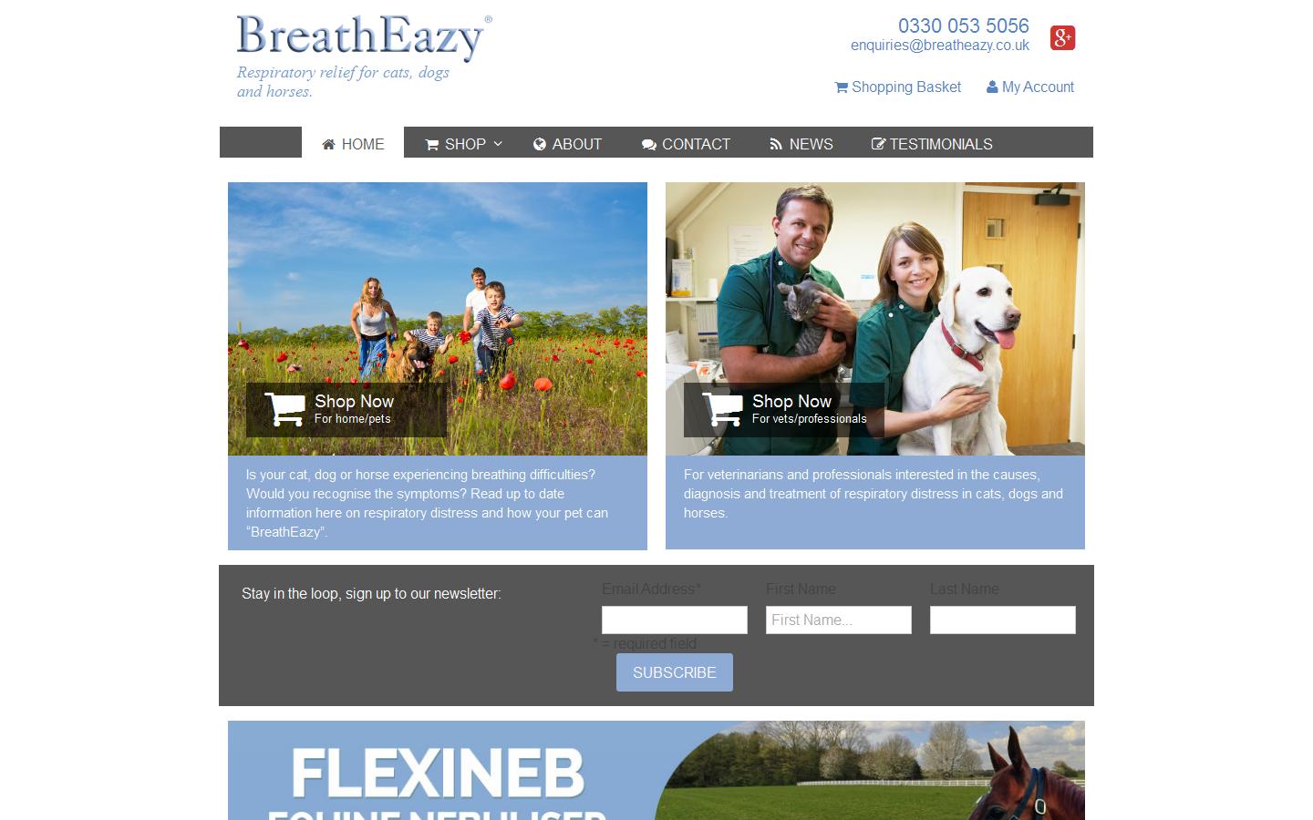 BreathEazy Website