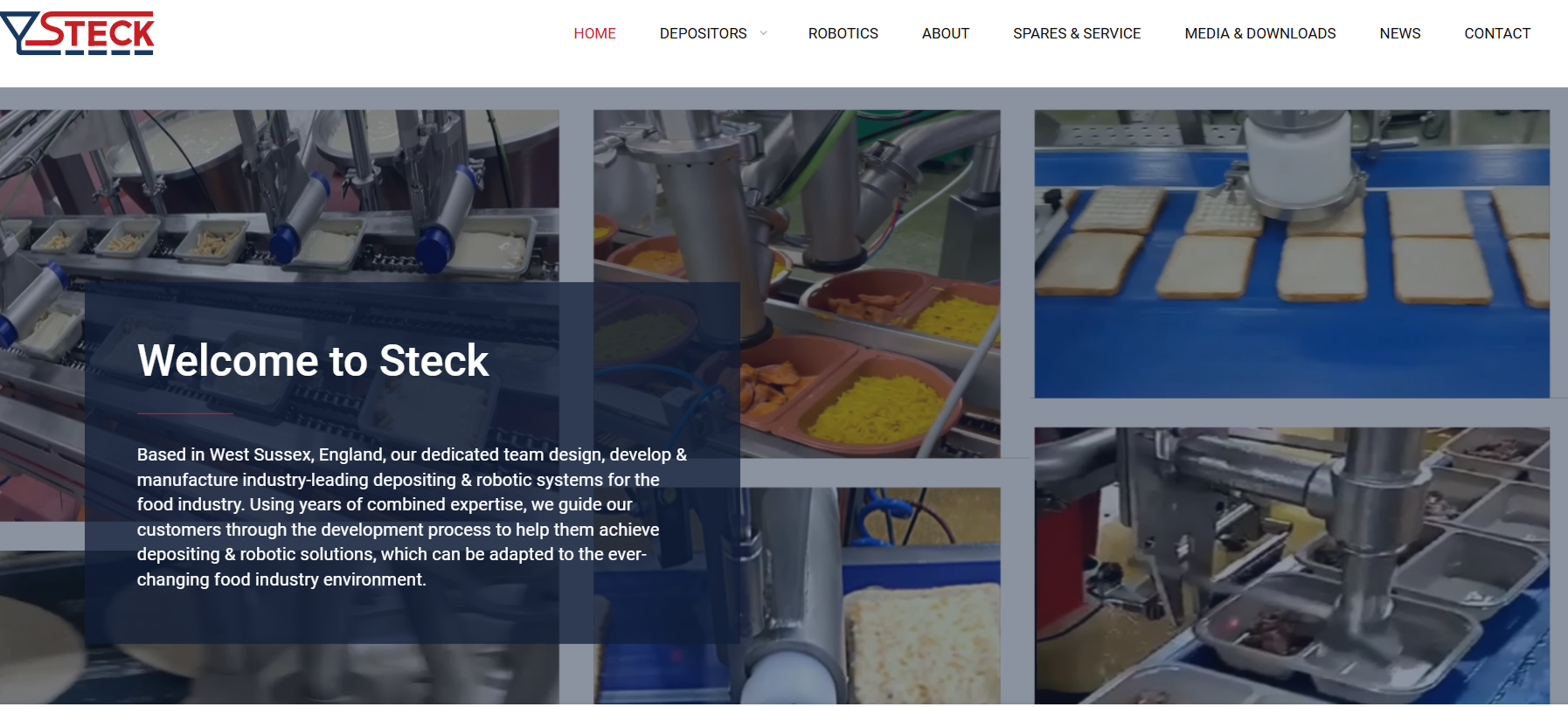 Steck Depositors Ltd Website