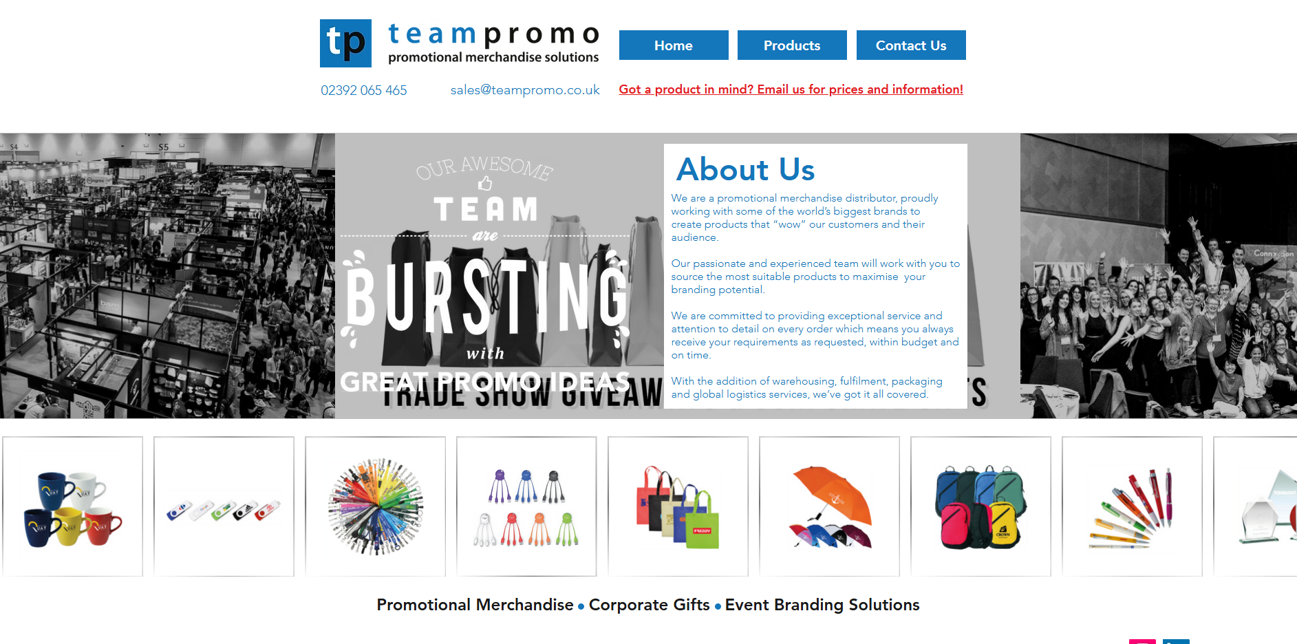 Team Promo Website