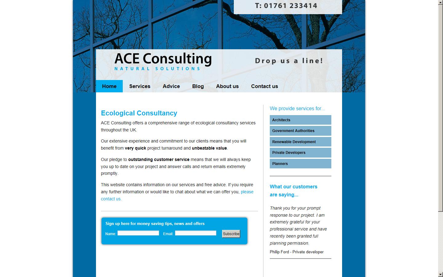 ACE Consulting  Website