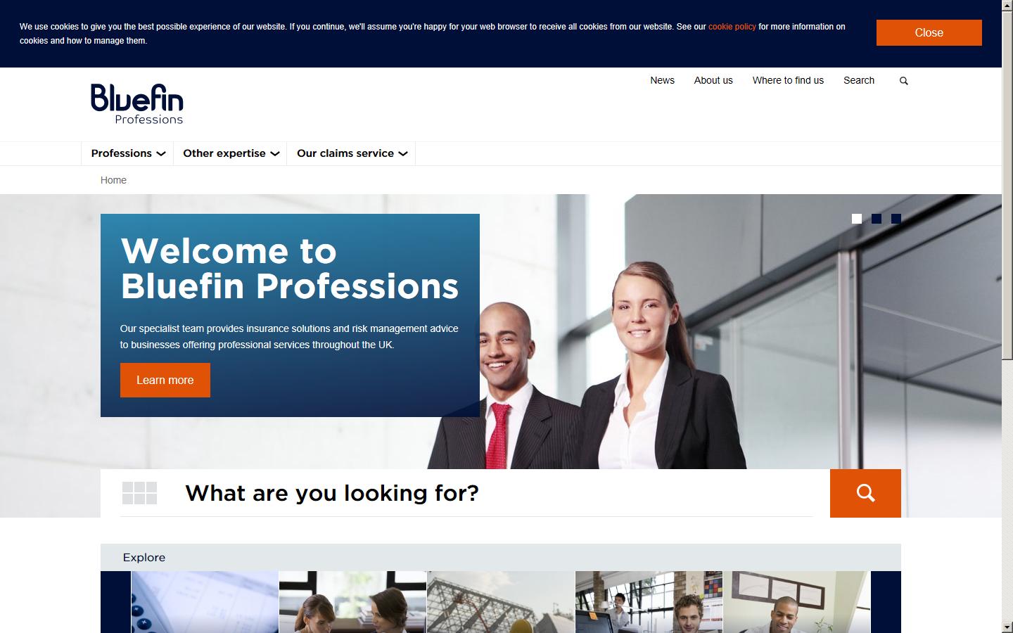 Bluefin, Professions Division - Bristol Website