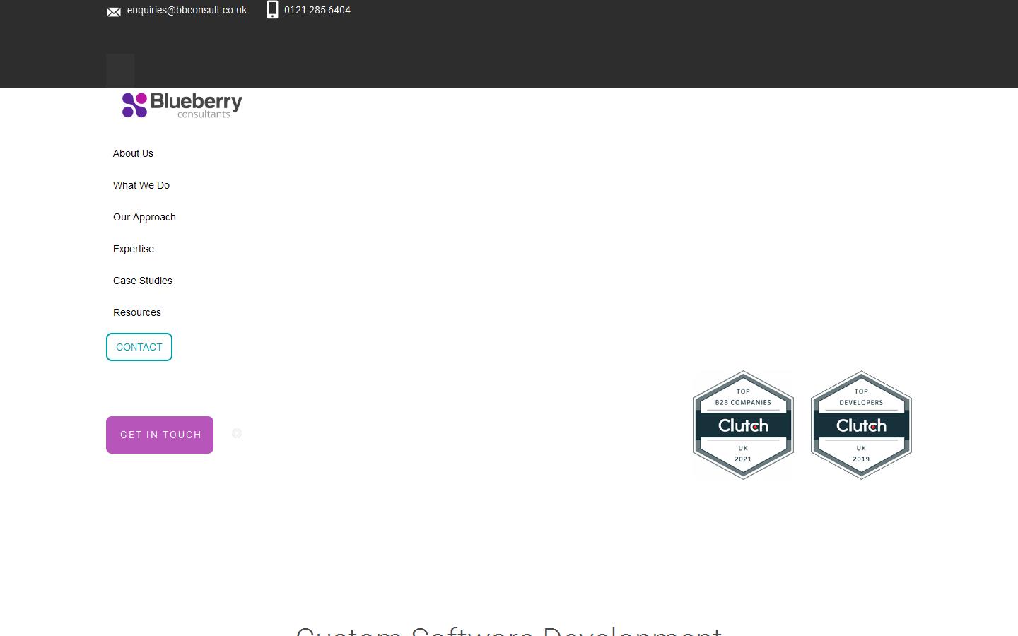 Blueberry Consultants Ltd Website