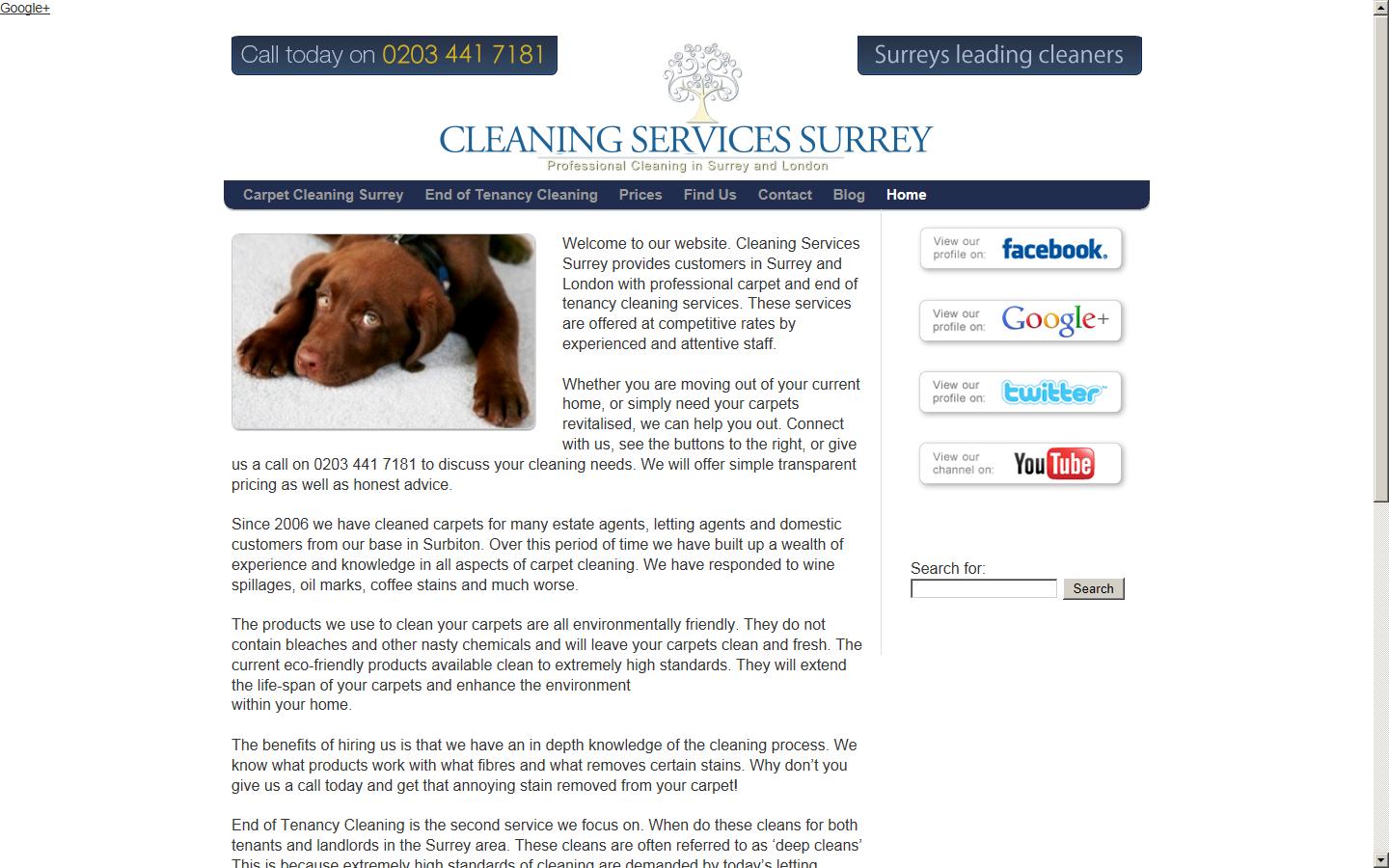 Cleaning Services Surrey Website