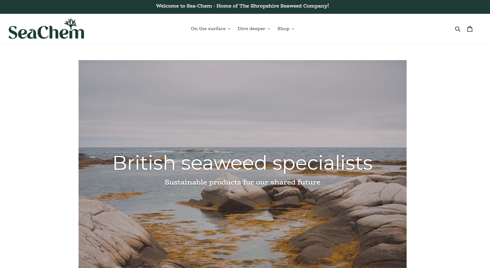 Sea-Chem Limited Website