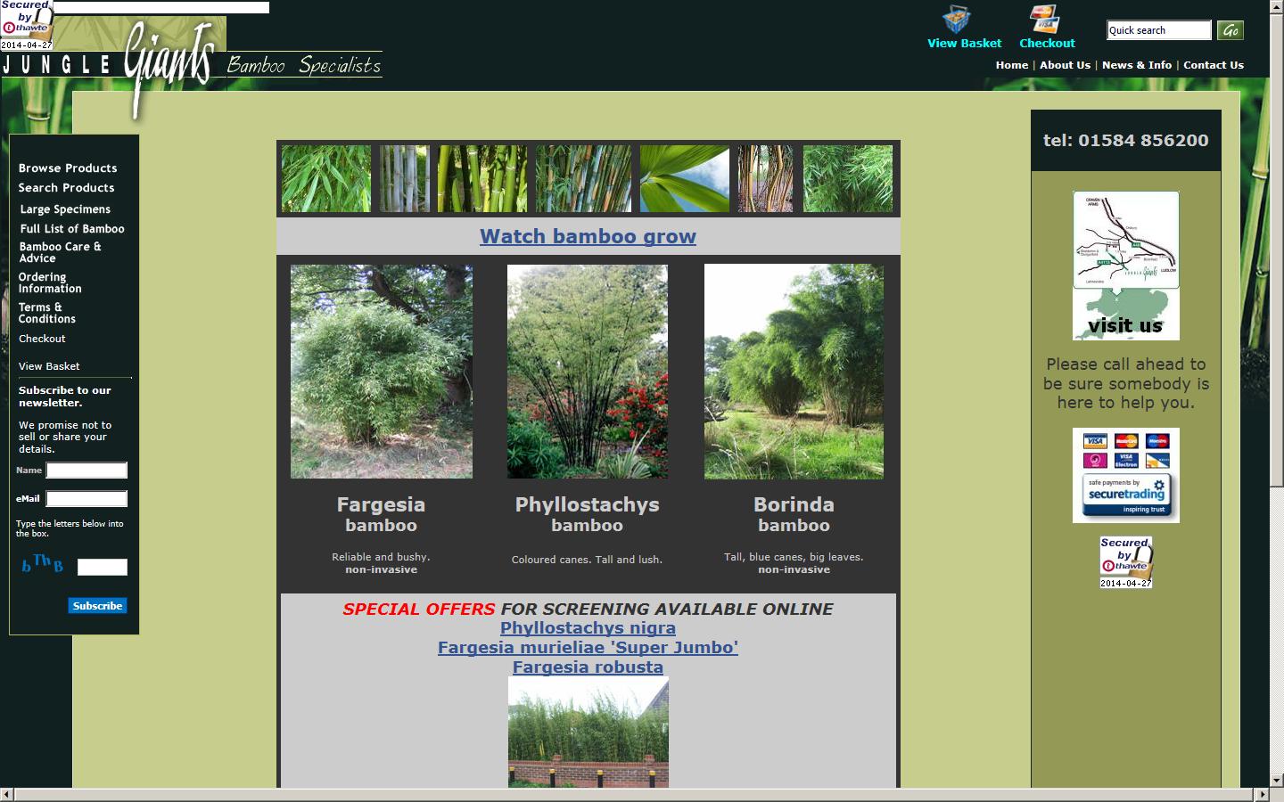 Jungle Giants Website
