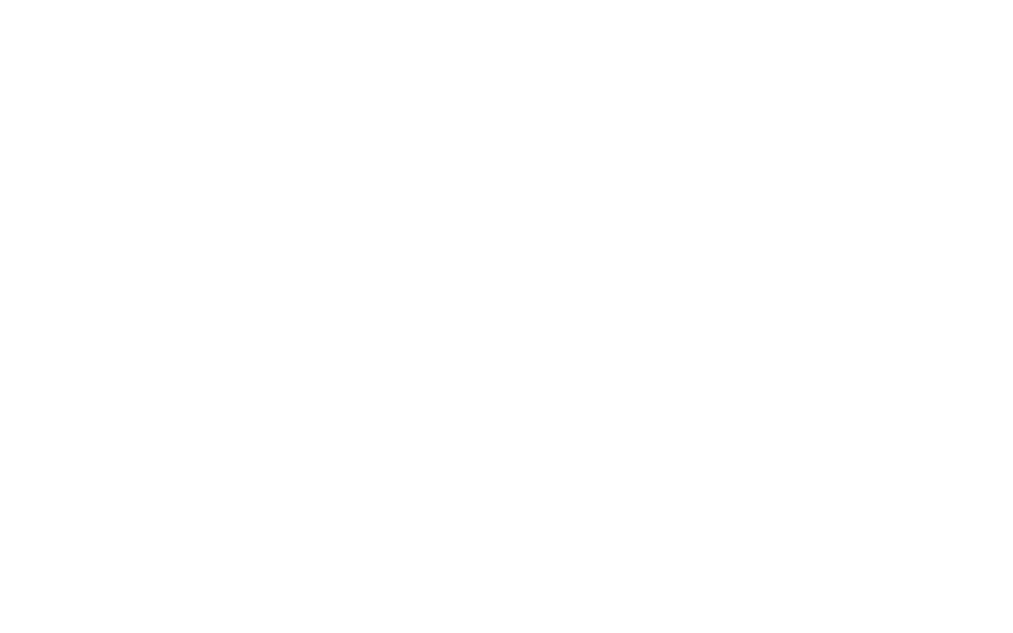 Dolphin Solutions Website