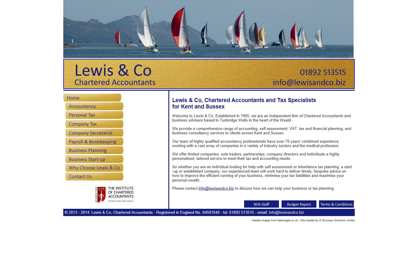 Lewis & Co Website