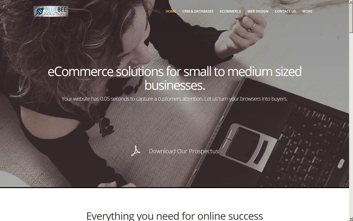 Blue Bee Solutions Ltd Website