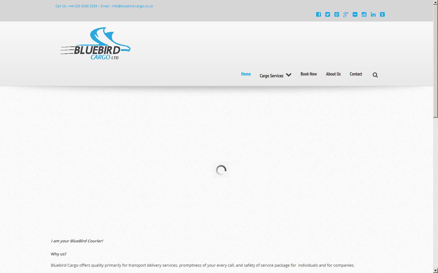 BlueBird Cargo Ltd Website