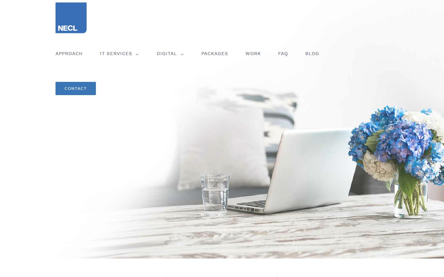 NECL Consulting Ltd Website