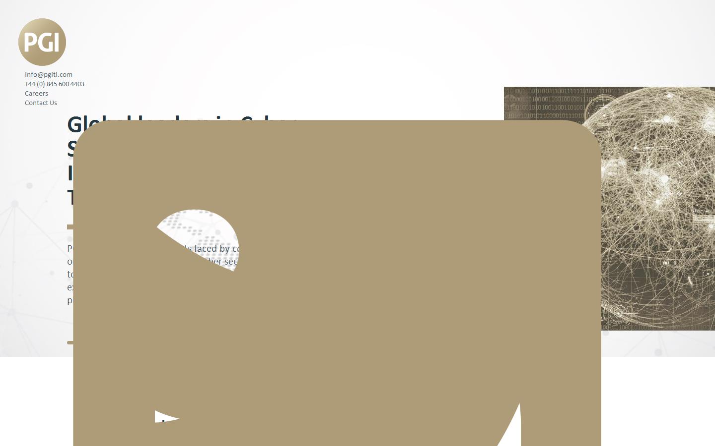 PGI Cyber Academy Website