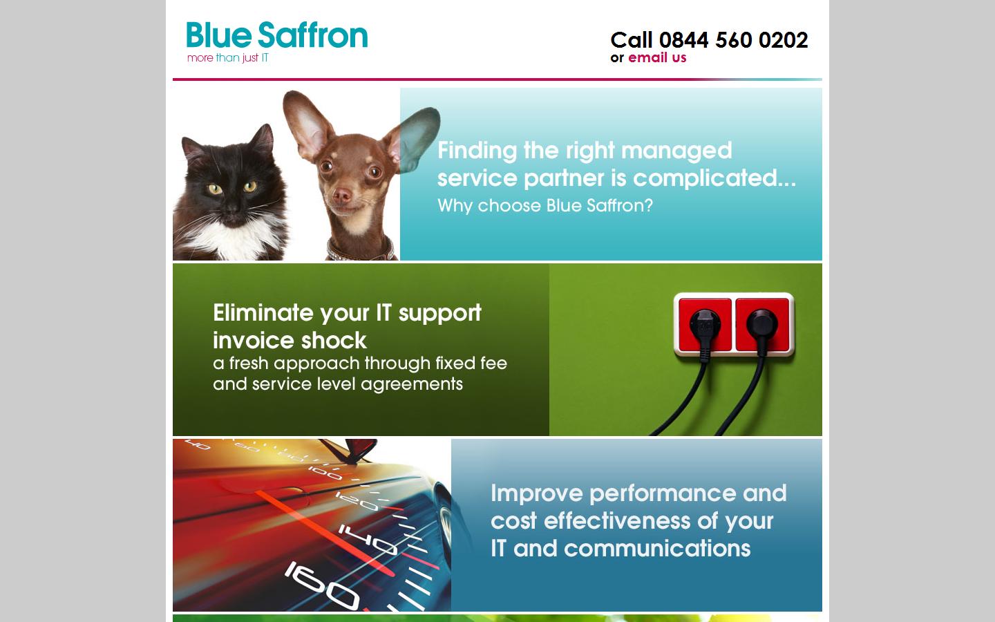 Blue Saffron Website