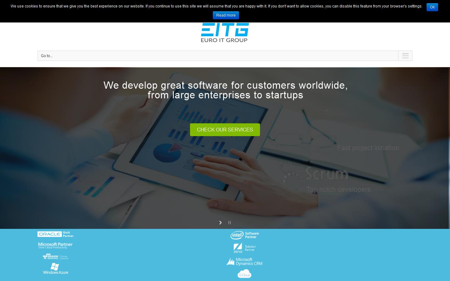Euro IT Group Website