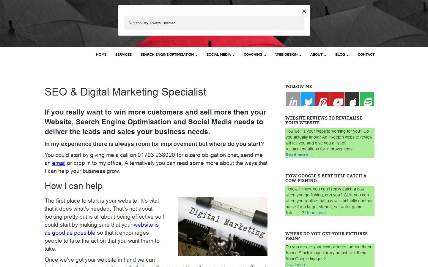 Enterprise Online Marketing Solution Website