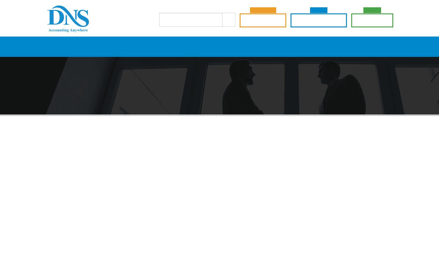 DNS Accountants Website