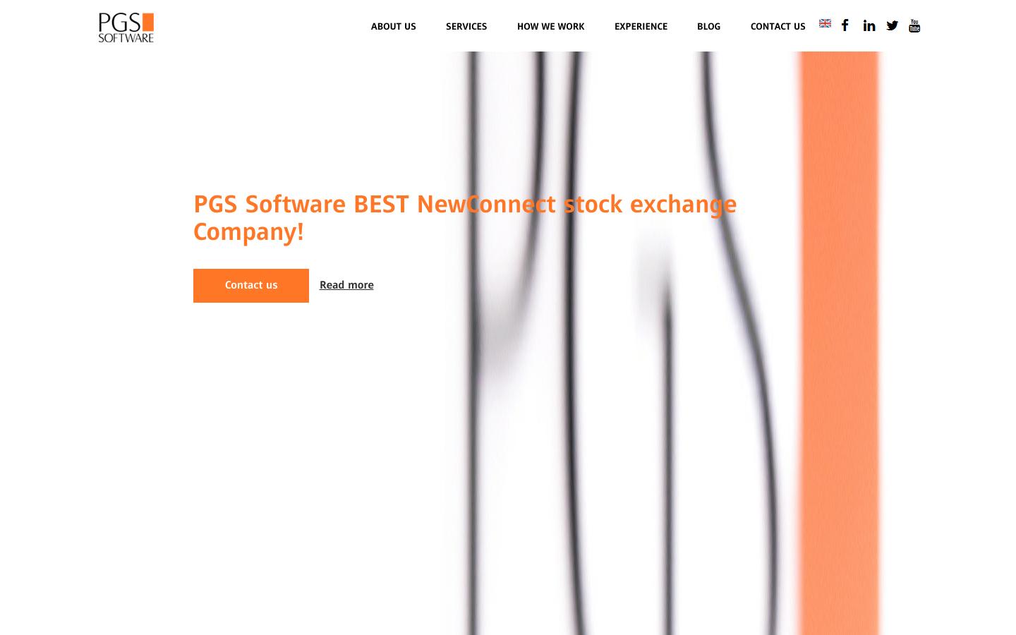 PGS Software Ltd Website