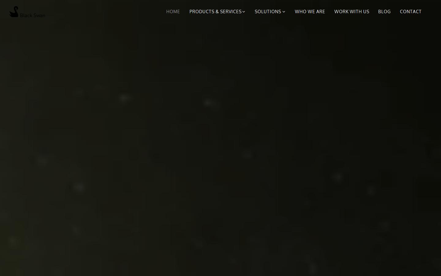 Black Swan Data Ltd Website