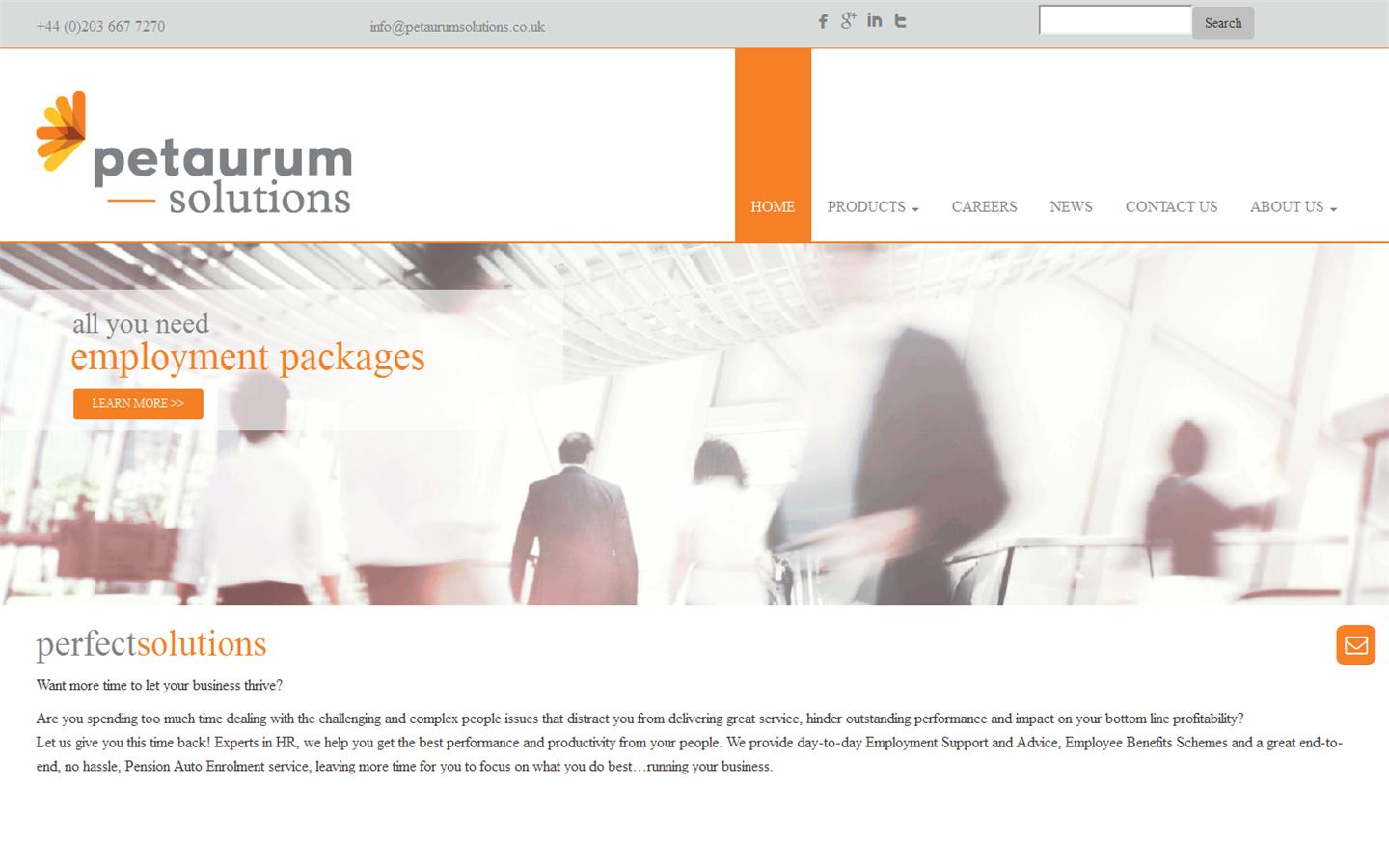 Petaurum Solutions Website
