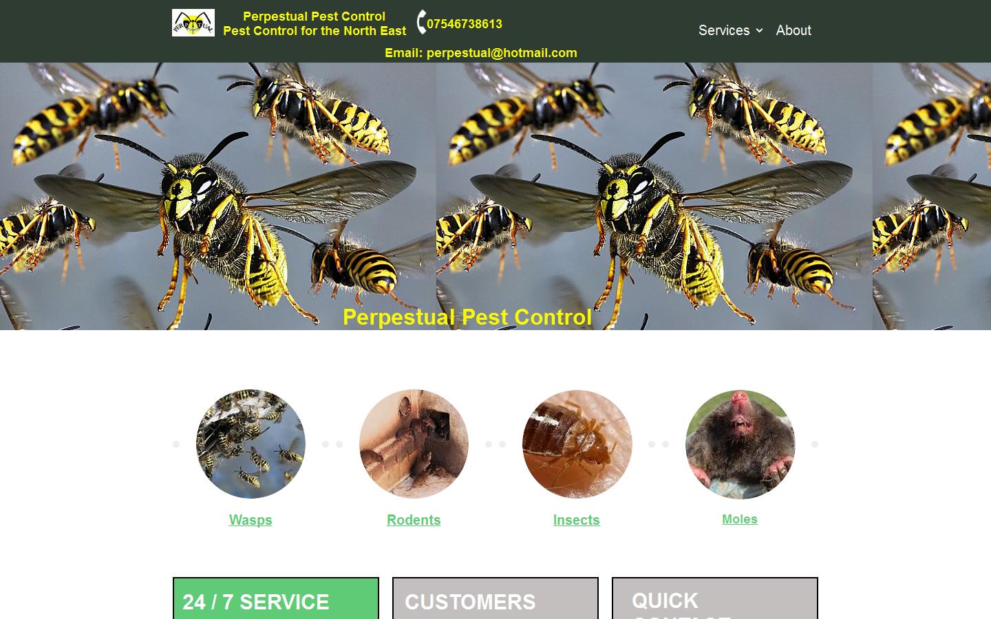 perpestual pest control Website