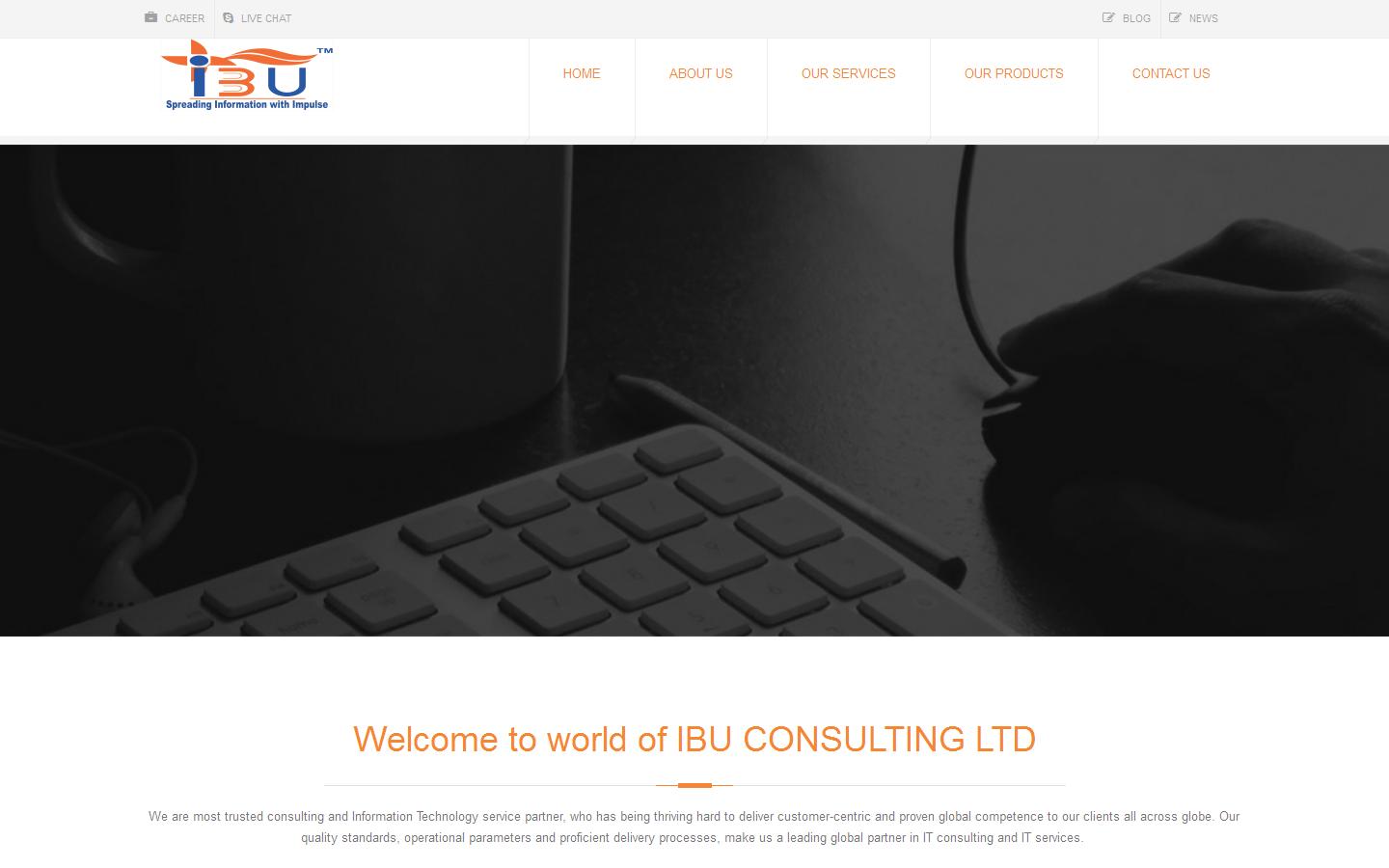 IBU CONSULTING LTD Website