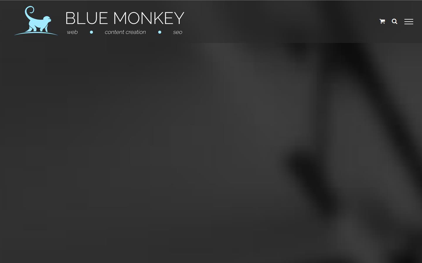 Blue Monkey Web LTD Website