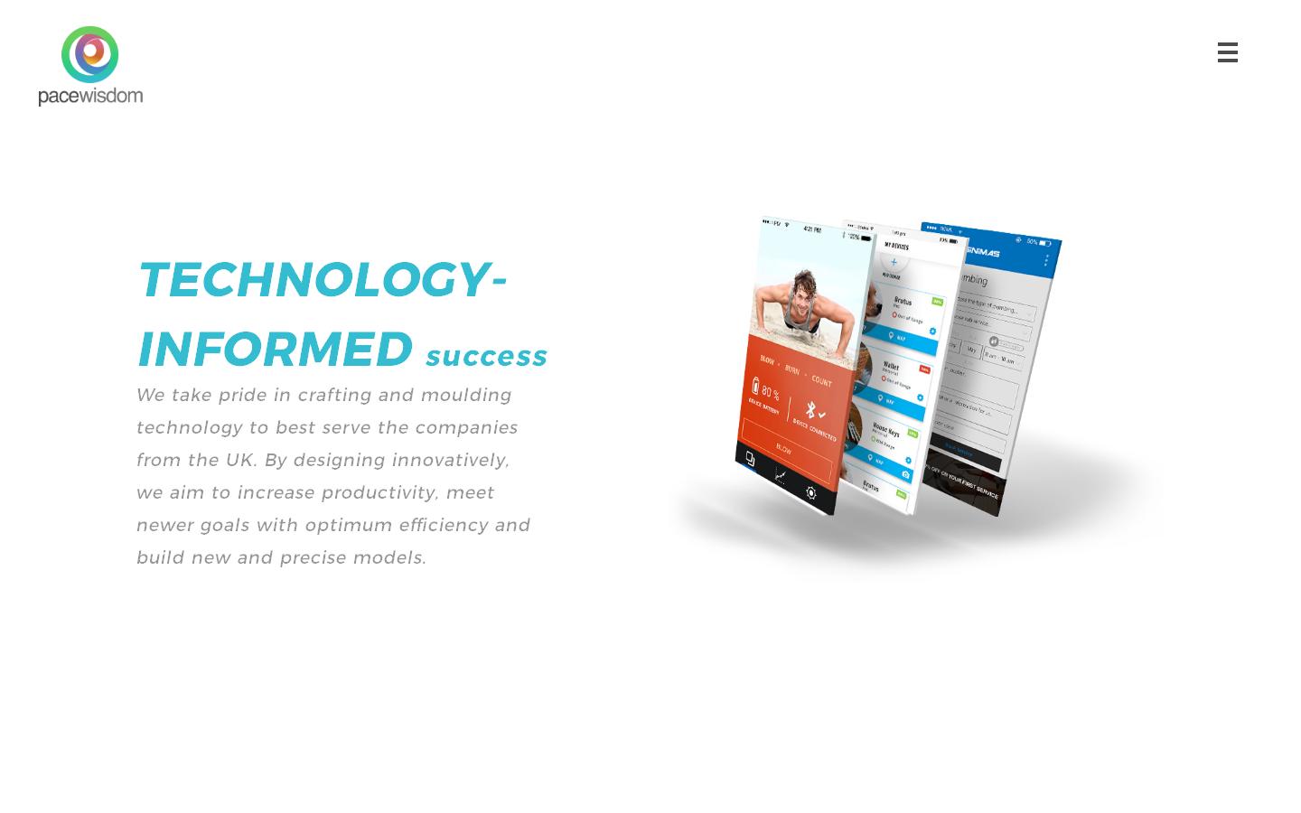 Pace Wisdom Solutions Website